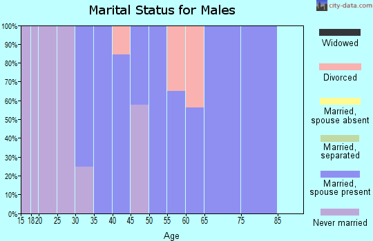 Zip code 63013 marital status for males