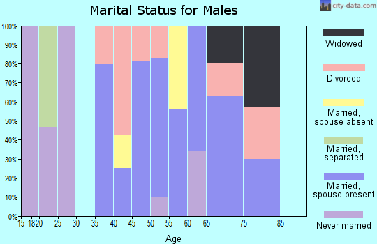 Zip code 63015 marital status for males