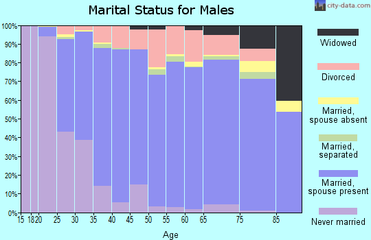 Zip code 63026 marital status for males