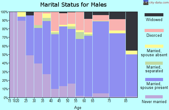 Zip code 63028 marital status for males