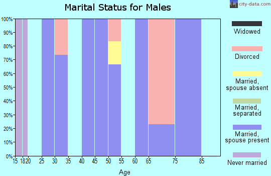 Zip code 63030 marital status for males