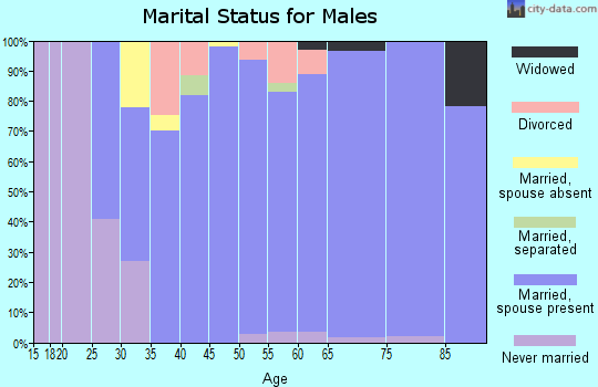 Zip code 63038 marital status for males