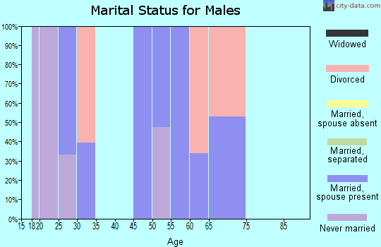 Zip code 63039 marital status for males
