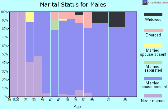 Zip code 63040 marital status for males