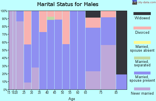 Zip code 63048 marital status for males
