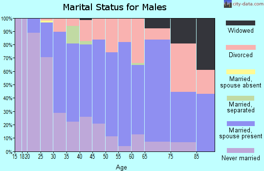Zip code 63049 marital status for males