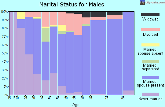 Zip code 63050 marital status for males