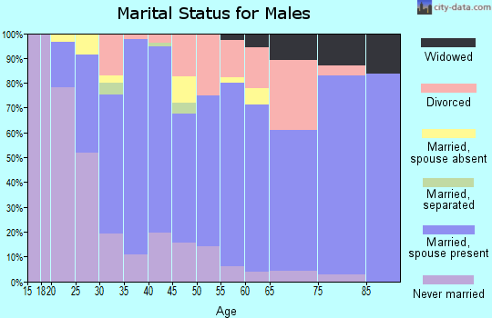 Zip code 63051 marital status for males