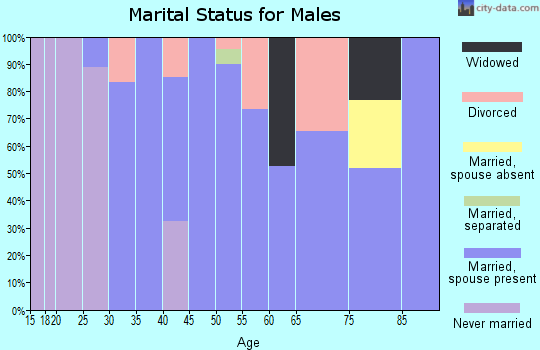 Zip code 63055 marital status for males