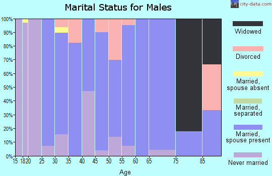 Zip code 63056 marital status for males