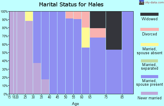 Zip code 63060 marital status for males