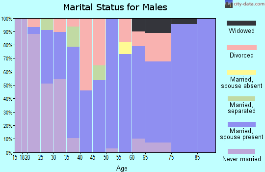 Zip code 63070 marital status for males
