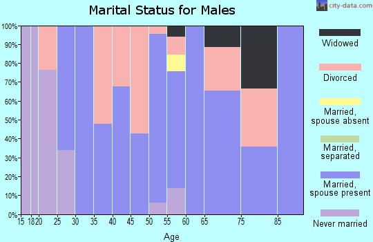 Zip code 63072 marital status for males