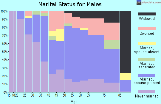 Zip code 63074 marital status for males