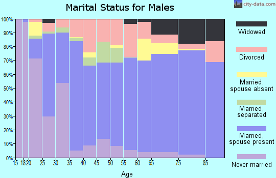 Zip code 63080 marital status for males