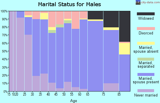 Zip code 63090 marital status for males