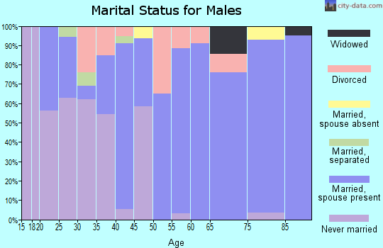 Zip code 63091 marital status for males