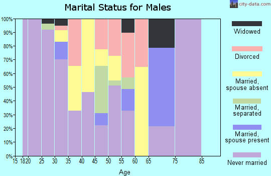 Zip code 63102 marital status for males