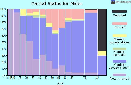 Zip code 63105 marital status for males