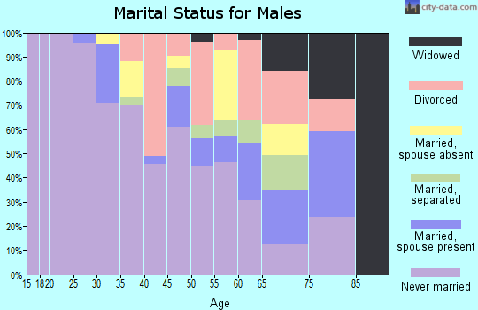 Zip code 63106 marital status for males