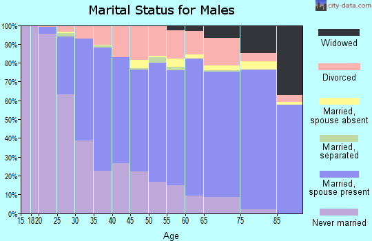 Zip code 63123 marital status for males