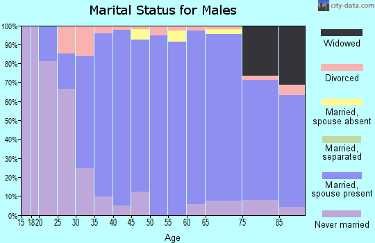 Zip code 63124 marital status for males