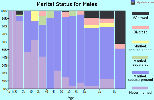 Zip code 63127 marital status for males