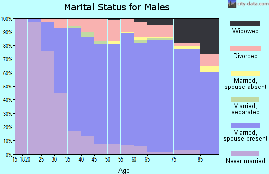 Zip code 63128 marital status for males