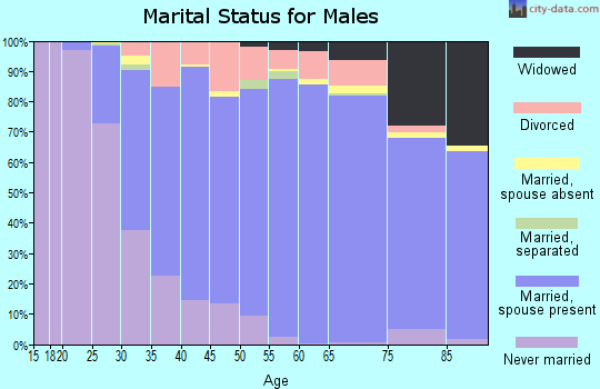 Zip code 63129 marital status for males