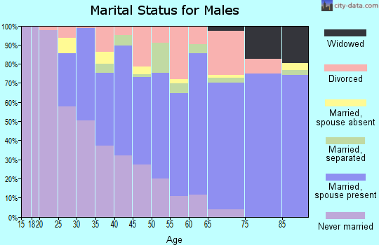 Zip code 63138 marital status for males