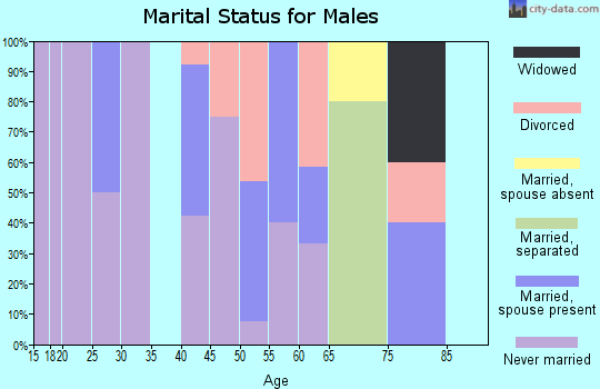 Zip code 63140 marital status for males