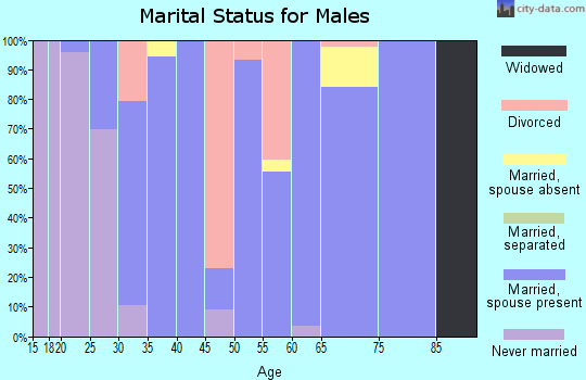 Zip code 63339 marital status for males