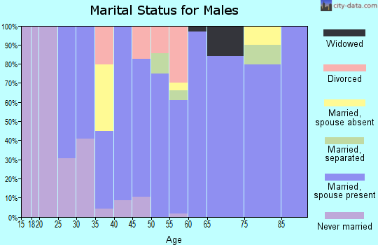 Zip code 63341 marital status for males