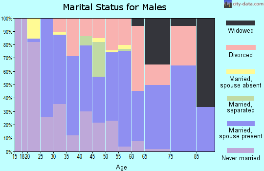 Zip code 63343 marital status for males