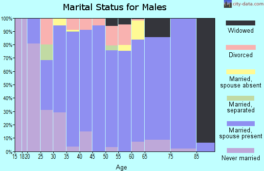 Zip code 63348 marital status for males