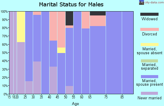 Zip code 63349 marital status for males