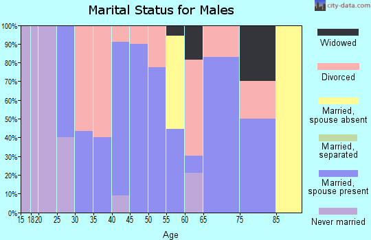 Zip code 63350 marital status for males