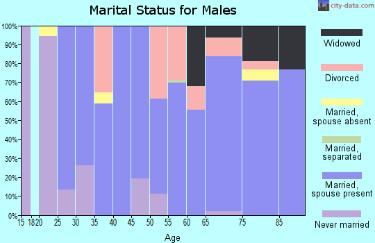 Zip code 63351 marital status for males