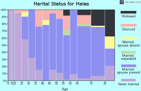 Zip code 63353 marital status for males