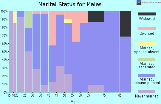 Zip code 63357 marital status for males