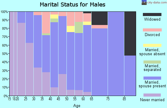 Zip code 63361 marital status for males