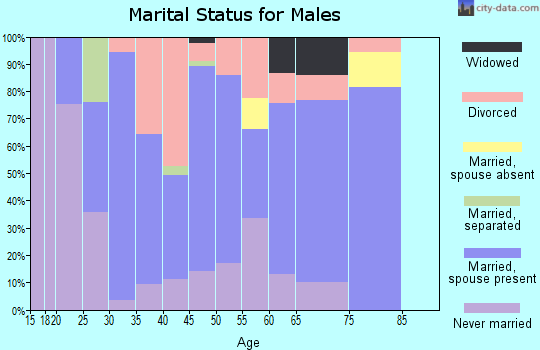 Zip code 63362 marital status for males