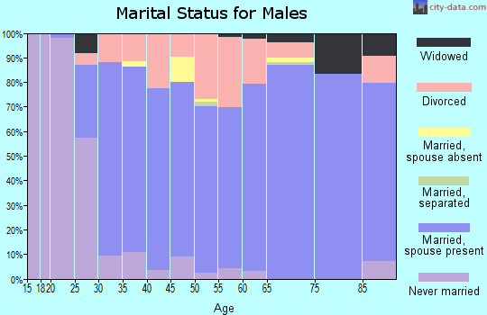 Zip code 63367 marital status for males