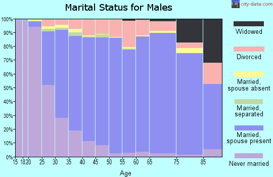 Zip code 63376 marital status for males