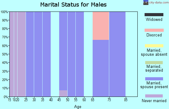 Zip code 63381 marital status for males