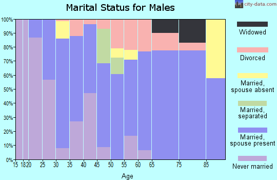 Zip code 63382 marital status for males
