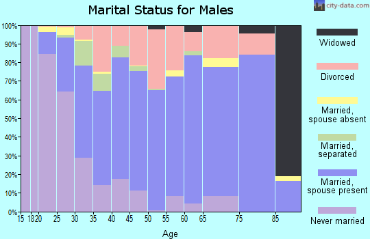 Zip code 63383 marital status for males