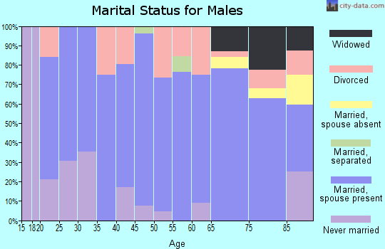 Zip code 63384 marital status for males