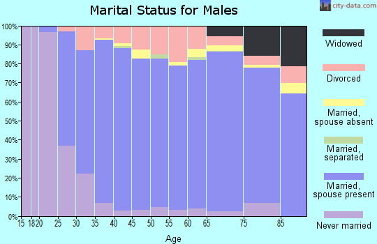 Zip code 63385 marital status for males