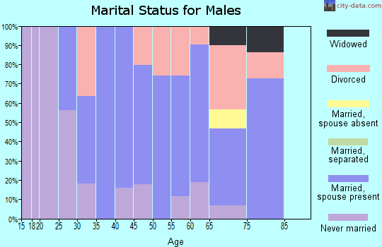 Zip code 63386 marital status for males